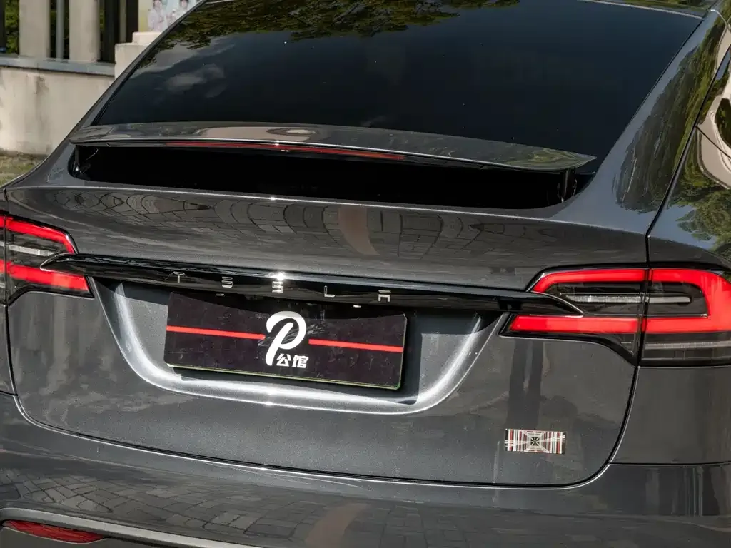 Tesla Model X — фото 10