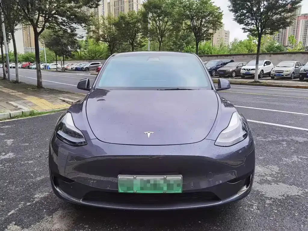 Tesla Model Y — фото 1