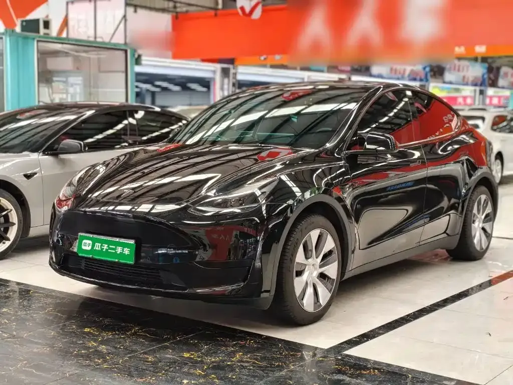 Tesla Model Y — фото 10