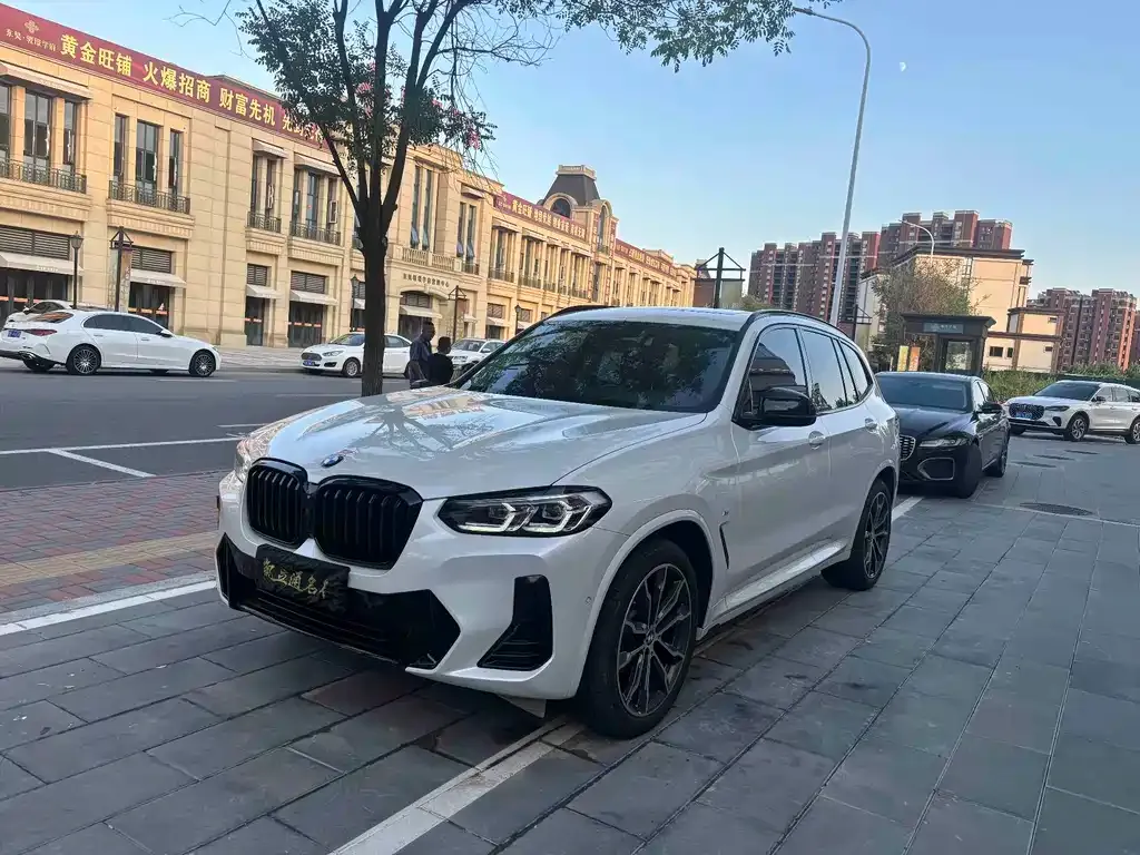 BMW X3 — фото 1