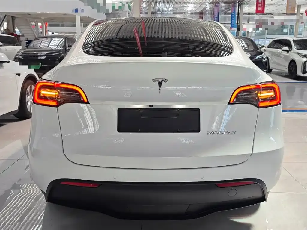 Tesla Model Y — фото 7