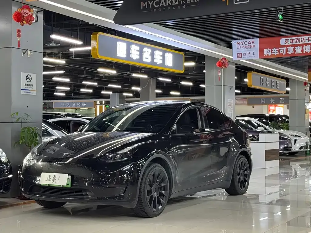 Tesla Model Y — фото 1