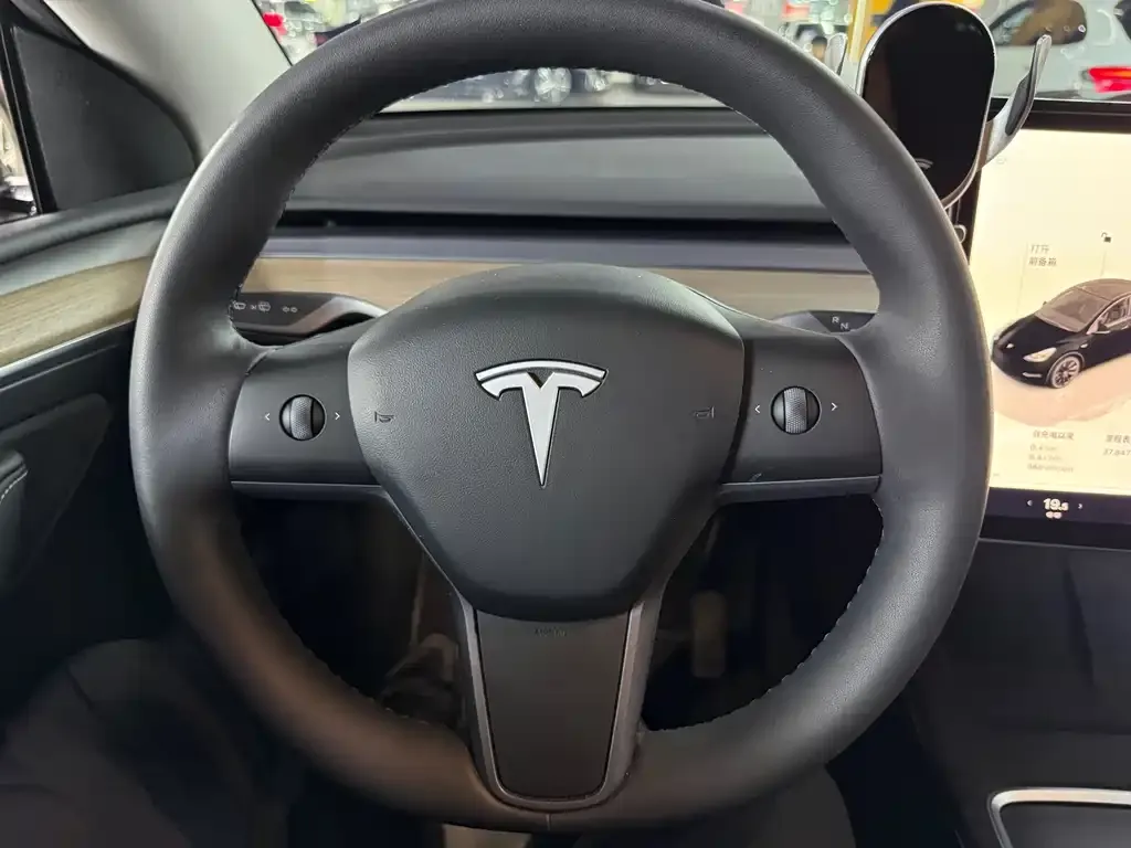 Tesla Model Y — фото 9