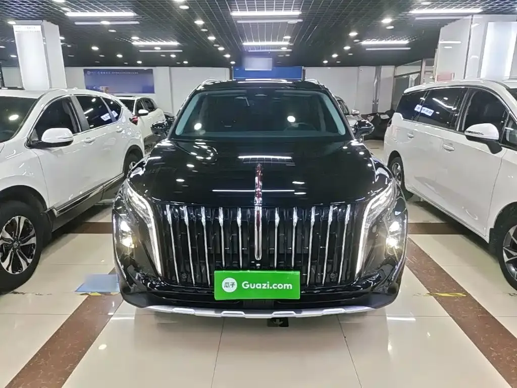 Hongqi HS7 PHEV — фото 6