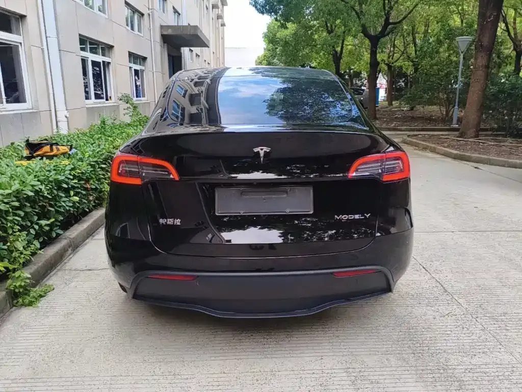 Tesla Model Y — фото 10