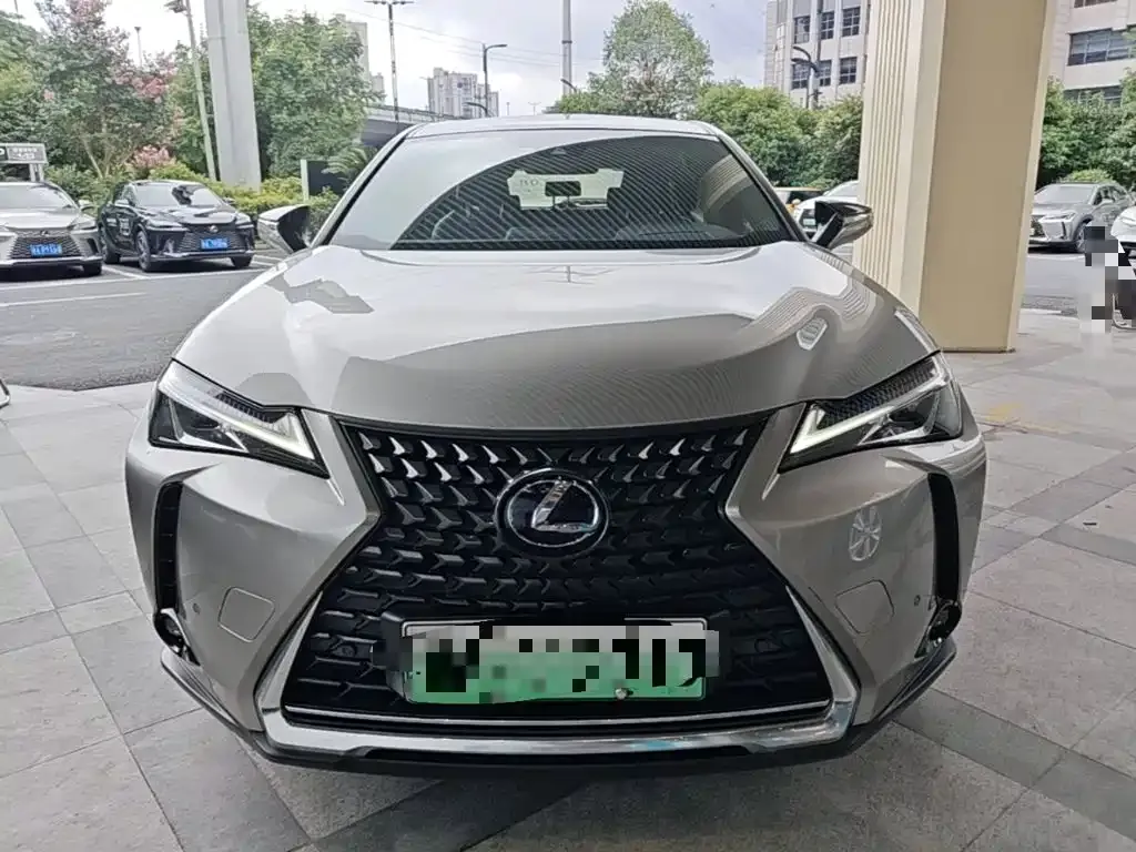 Lexus UX New Energy — фото 10