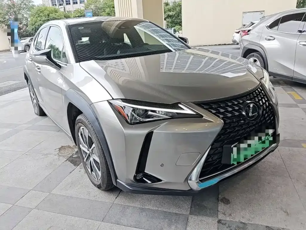 Lexus UX New Energy — фото 9