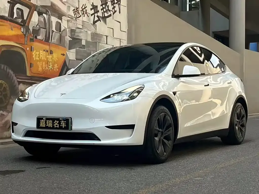 Tesla Model Y — фото 1