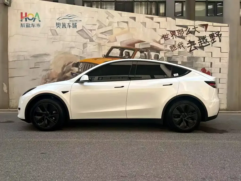 Tesla Model Y — фото 8