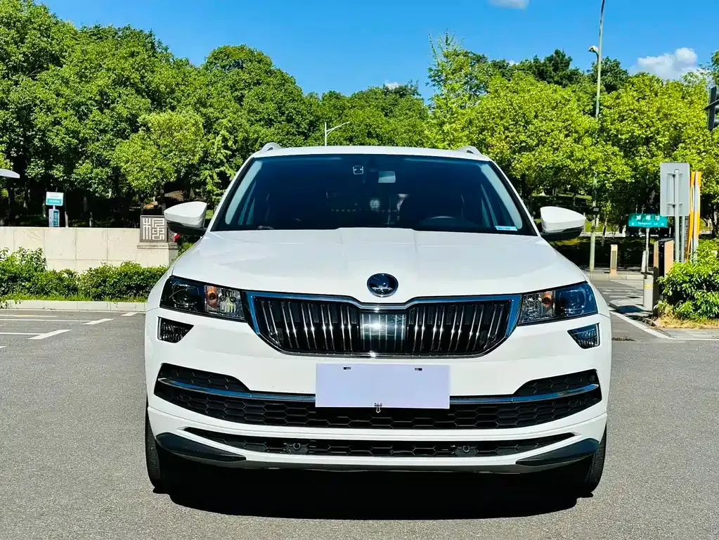Skoda Karoq — фото 9