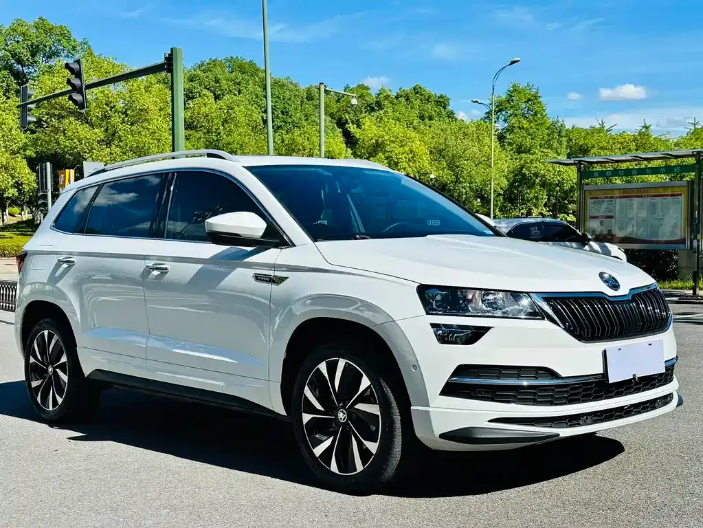 Skoda Karoq — фото 5