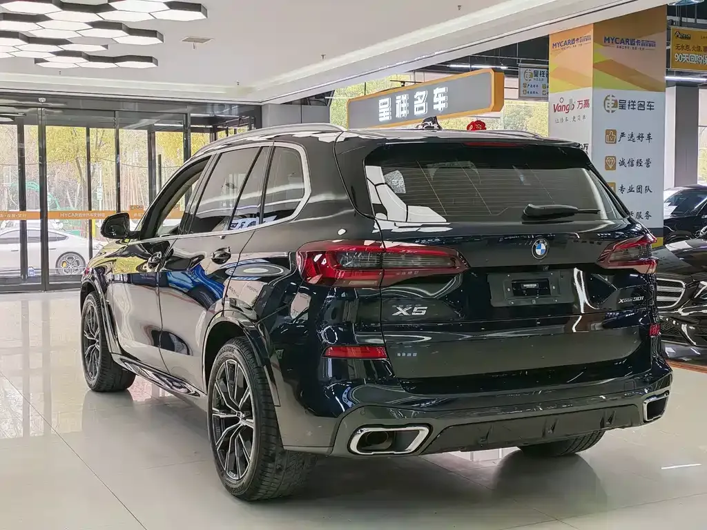 BMW X5 (Import) — фото 5