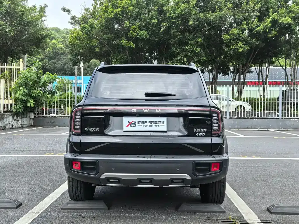 Haval Big Dog — фото 9