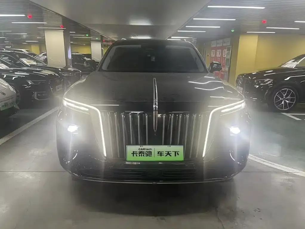 Hongqi E-HS9 — фото 10