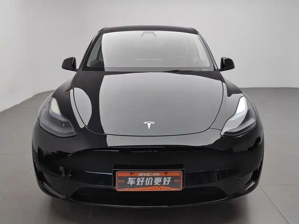 Tesla Model Y — фото 2
