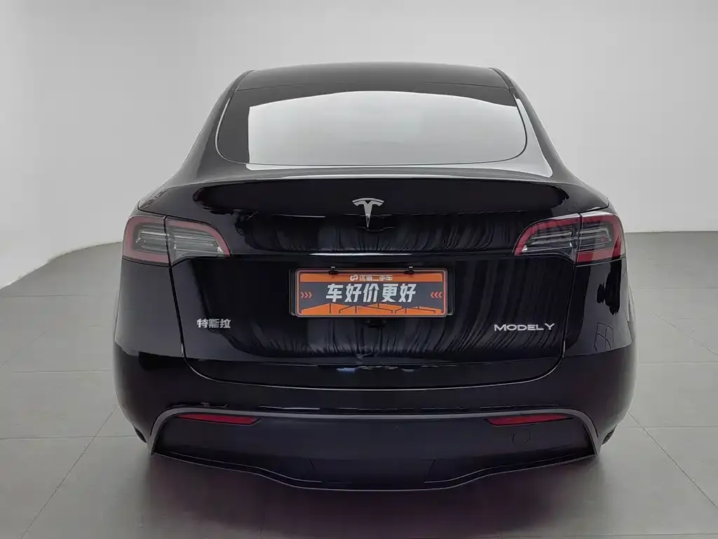 Tesla Model Y — фото 5