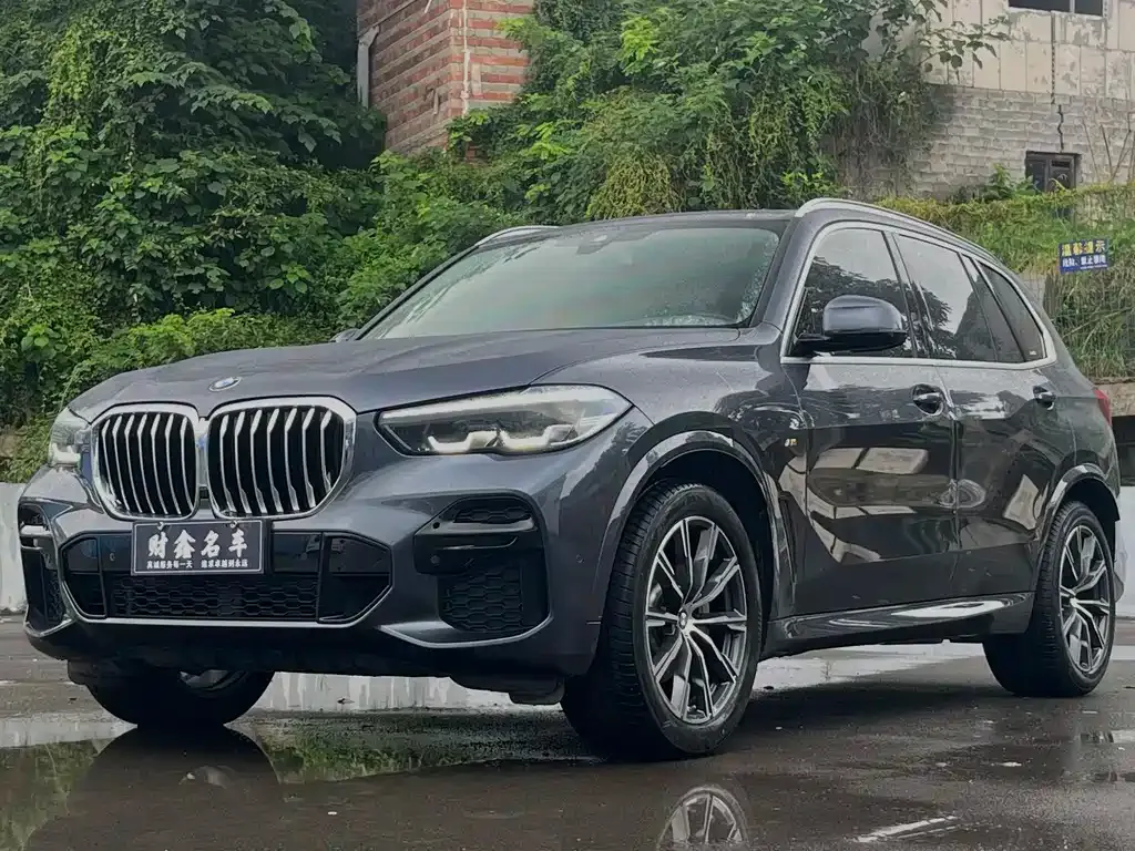 BMW X5 (Import) — фото 1
