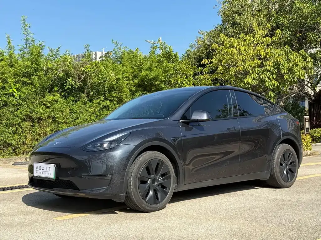Tesla Model Y — фото 1