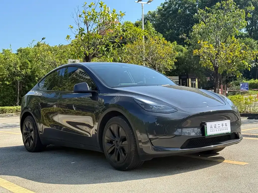 Tesla Model Y — фото 3