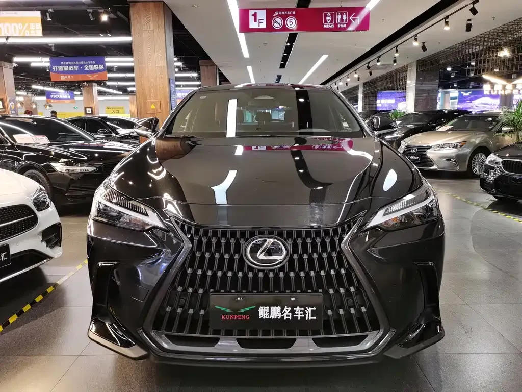 Lexus NX — фото 10
