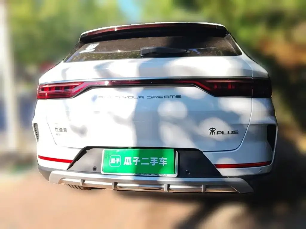 BYD PLUS New Energy — фото 3