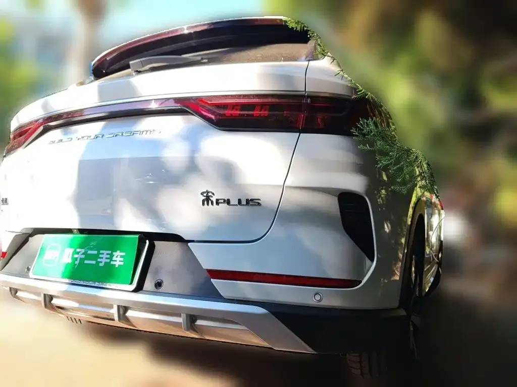 BYD PLUS New Energy — фото 4