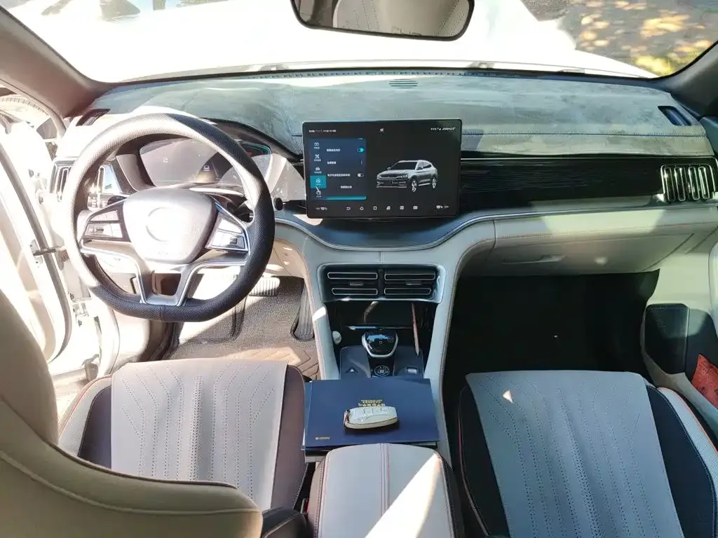 BYD PLUS New Energy — фото 8