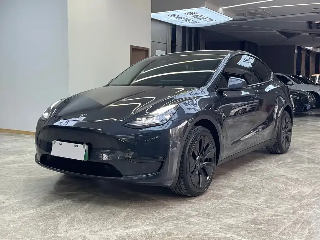 Tesla Model Y — фото 1