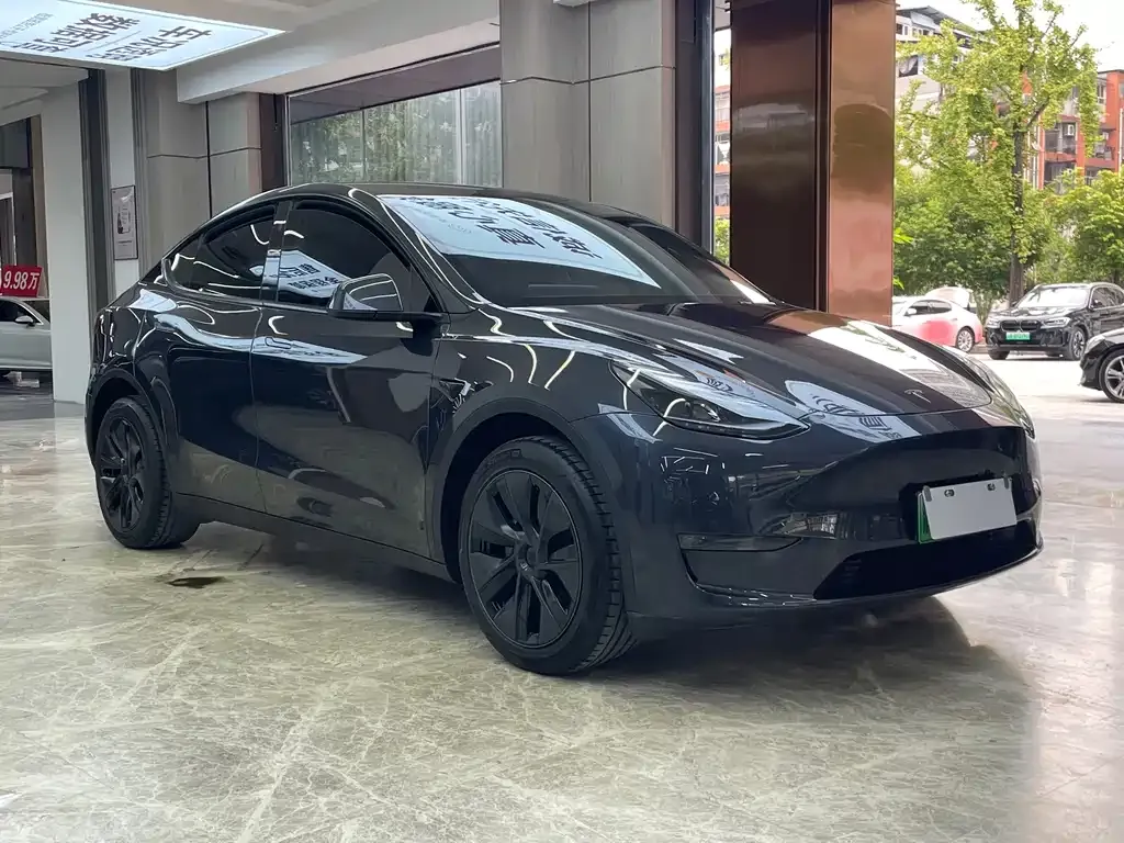 Tesla Model Y — фото 10