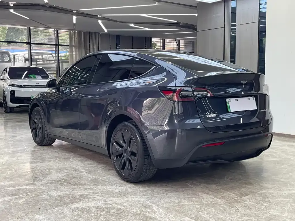 Tesla Model Y — фото 9
