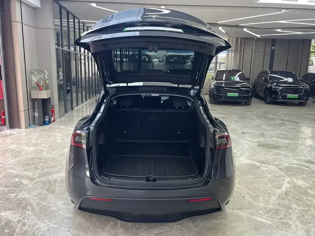 Tesla Model Y — фото 2