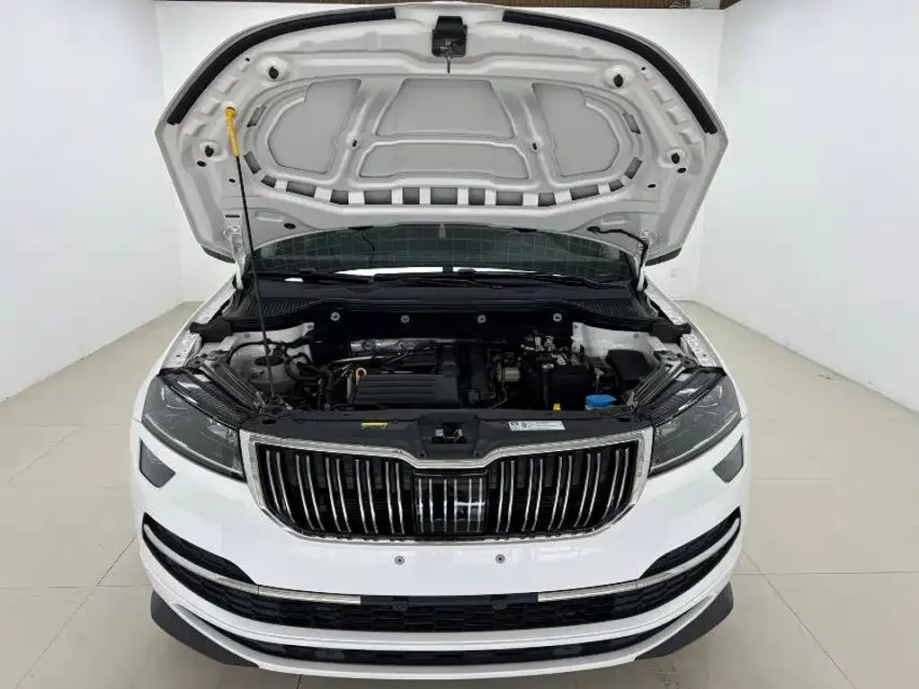 Skoda Karoq — фото 10