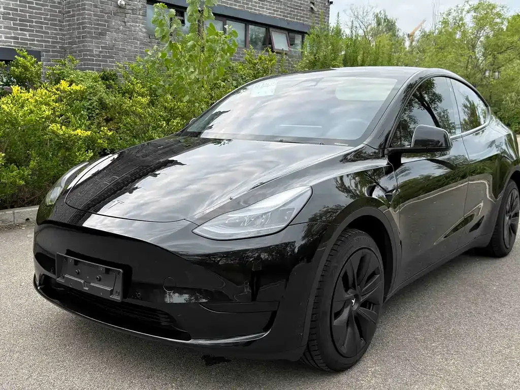 Tesla Model Y — фото 1