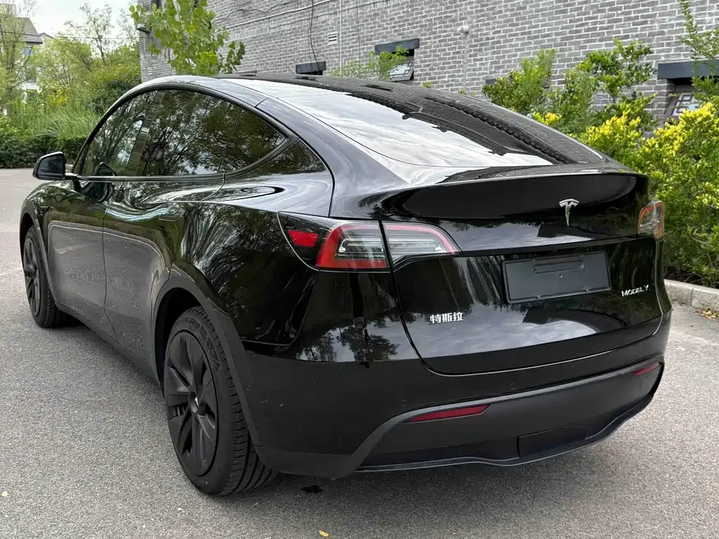 Tesla Model Y — фото 9