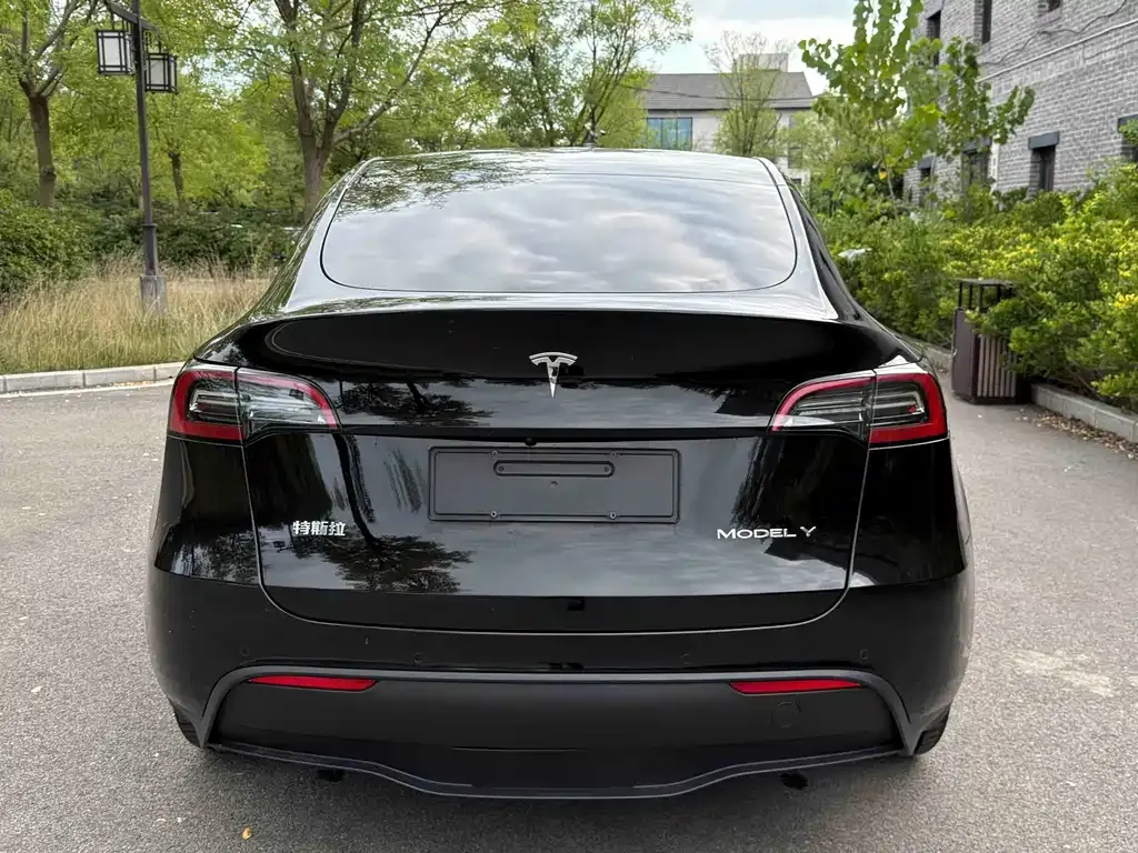Tesla Model Y — фото 10