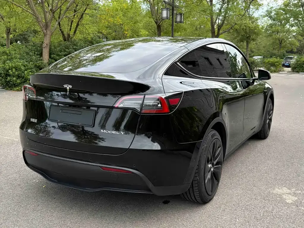 Tesla Model Y — фото 8