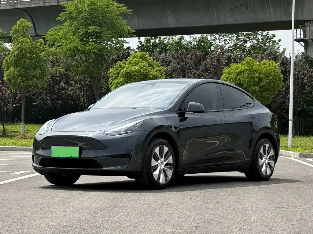 Tesla Model Y — фото 1