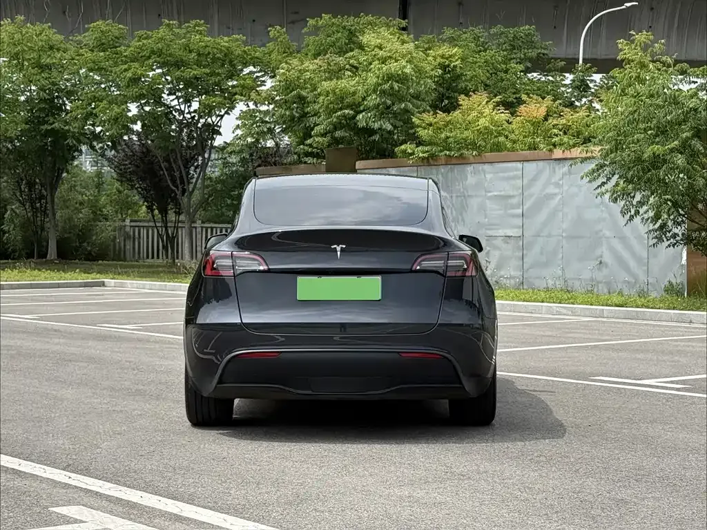 Tesla Model Y — фото 7