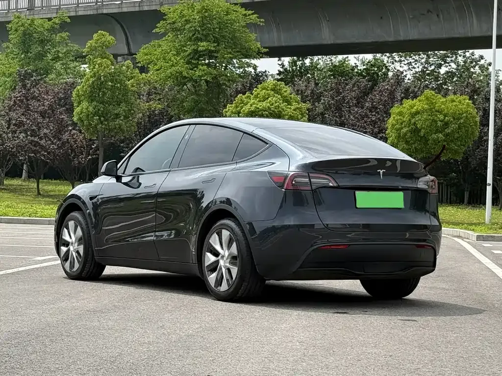 Tesla Model Y — фото 10