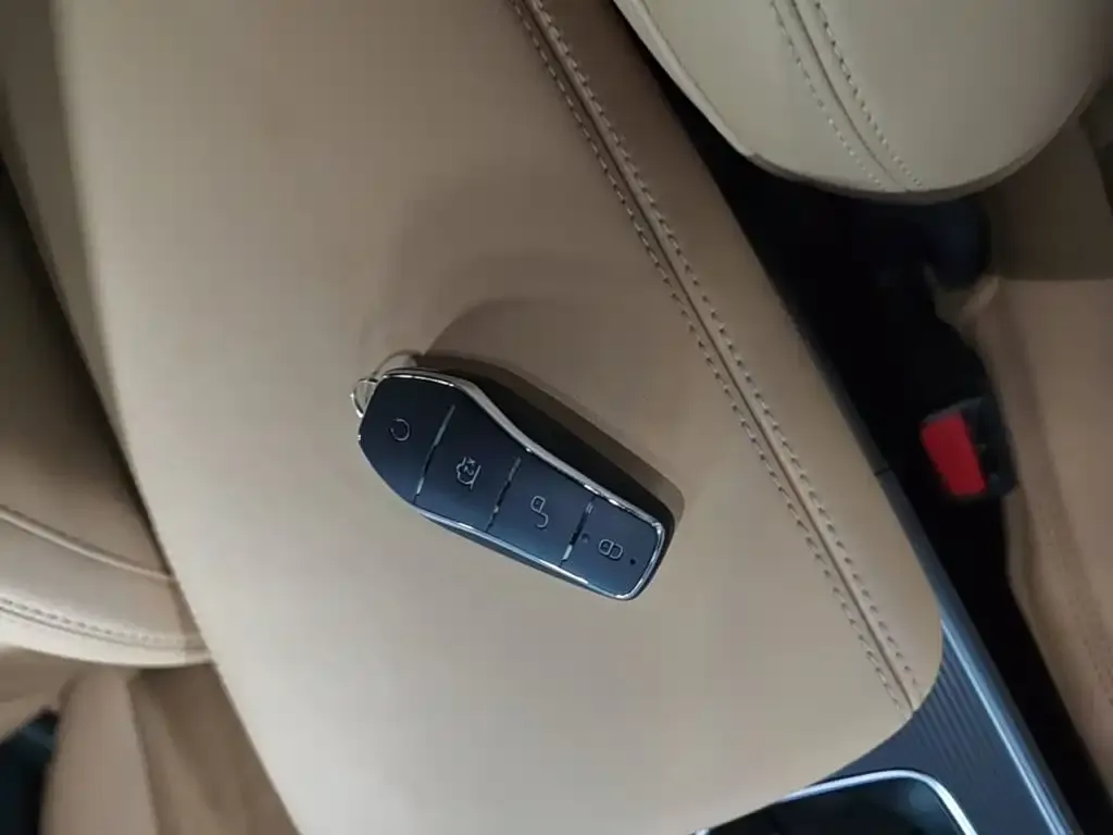 BYD L DM-i — фото 2