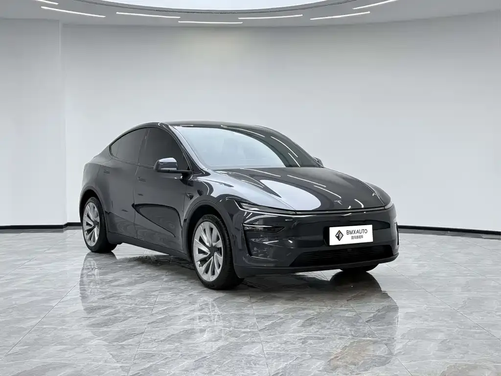 Tesla Model Y — фото 2