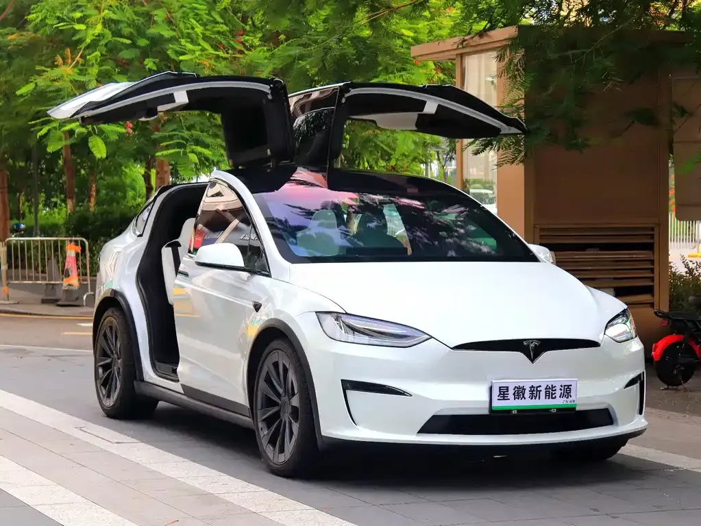 Tesla Model X — фото 6