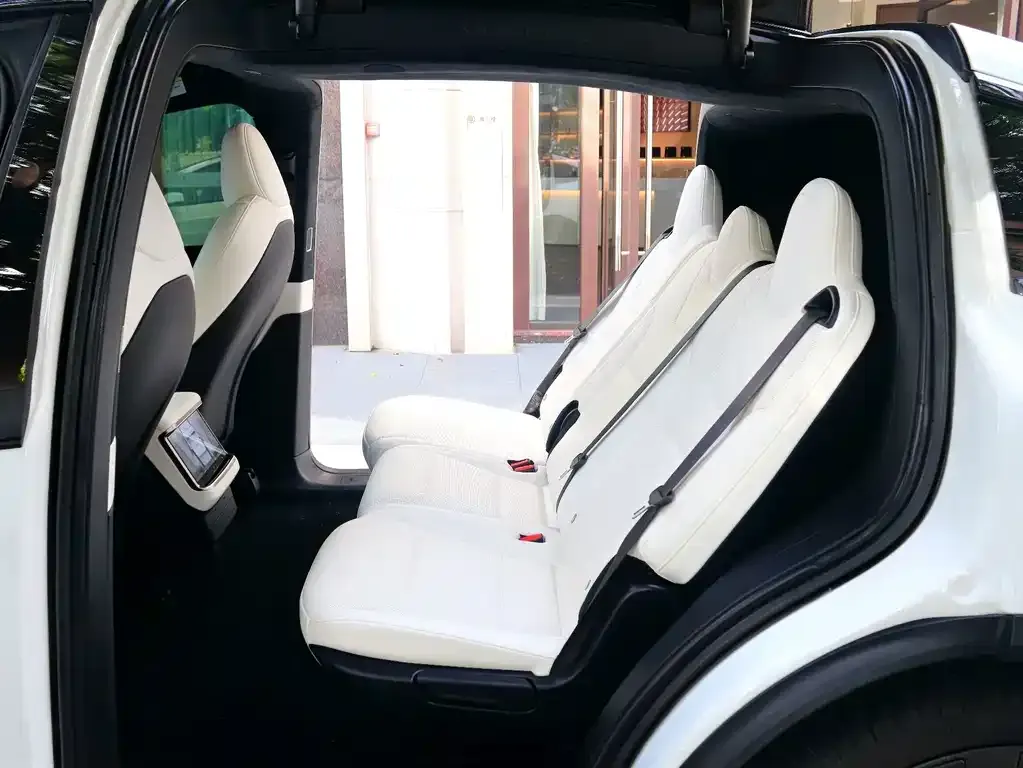 Tesla Model X — фото 8