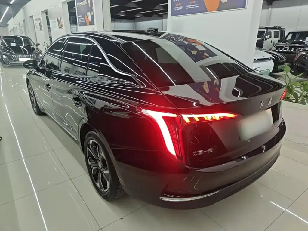 Hongqi E-QM5 — фото 3
