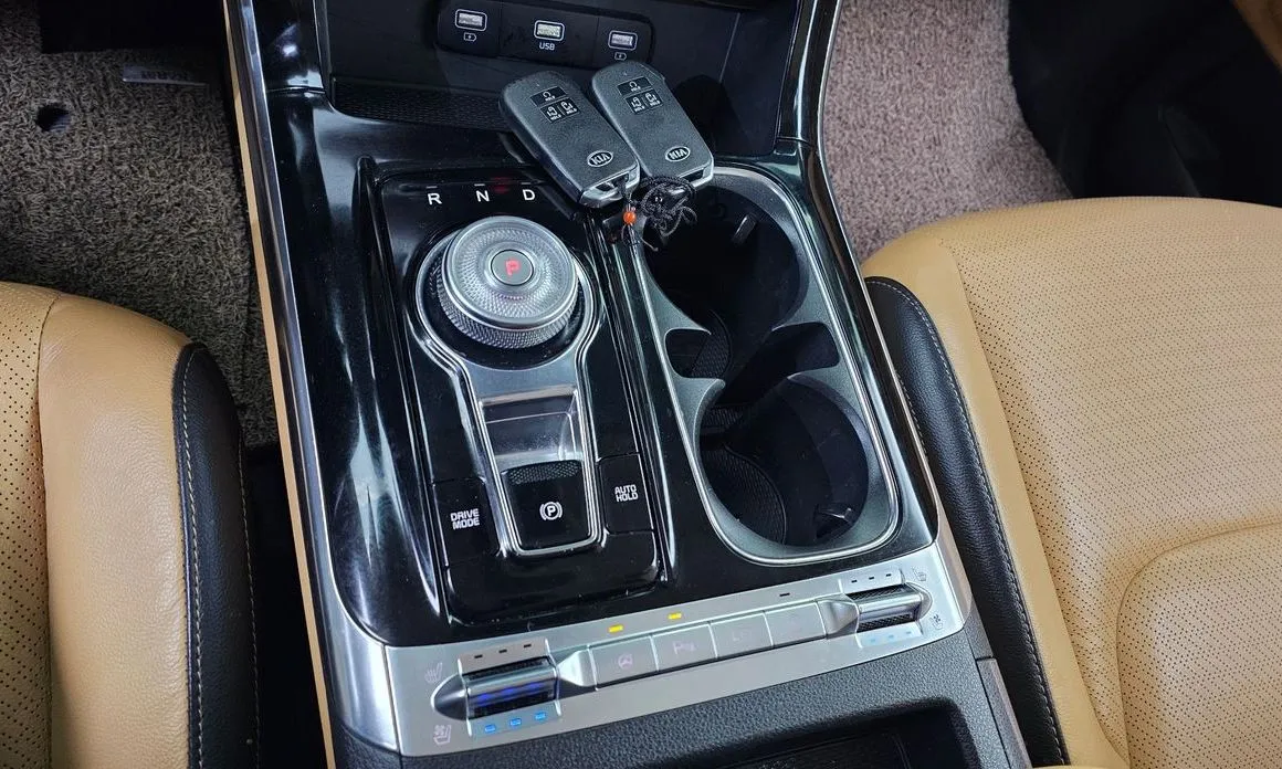 Kia Carnival — фото 10
