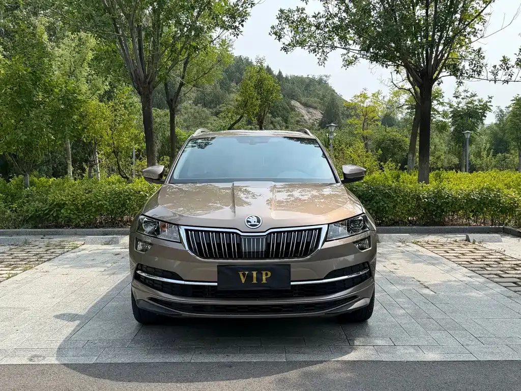 Skoda Karoq — фото 10