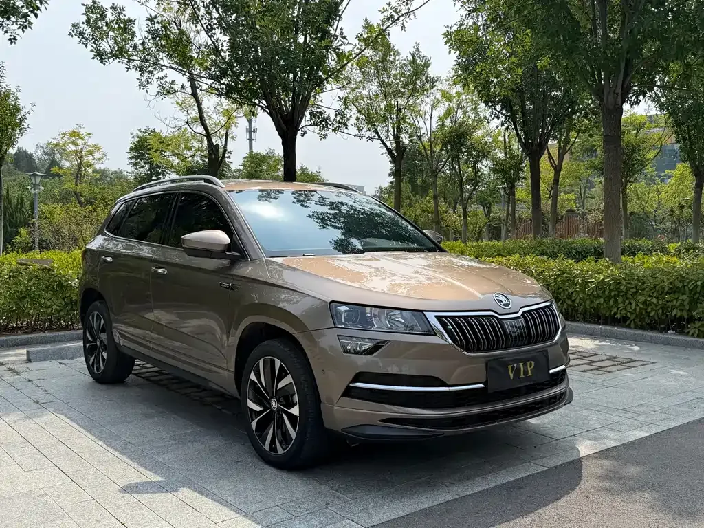 Skoda Karoq — фото 6