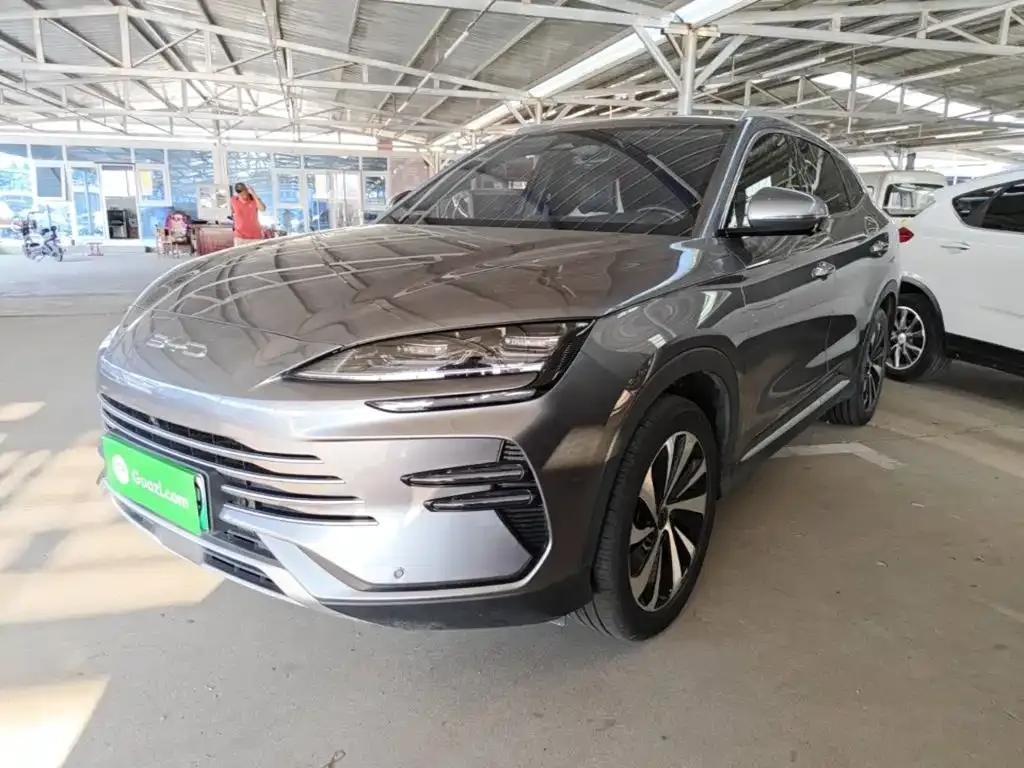 BYD PLUS New Energy — фото 1