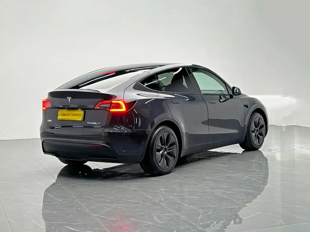 Tesla Model Y — фото 10