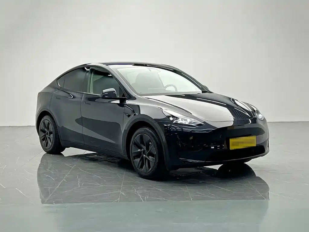 Tesla Model Y — фото 5